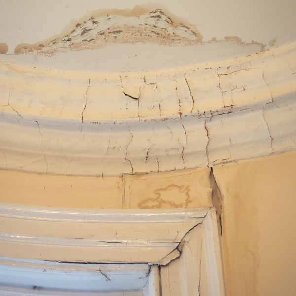 Dry Days, Wet Walls: How to Spot Summer Signs of Structural Damp
