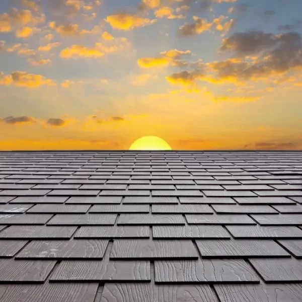 Summer Showers and Leaky Roofs: Know Your Rights as a Council Tenant